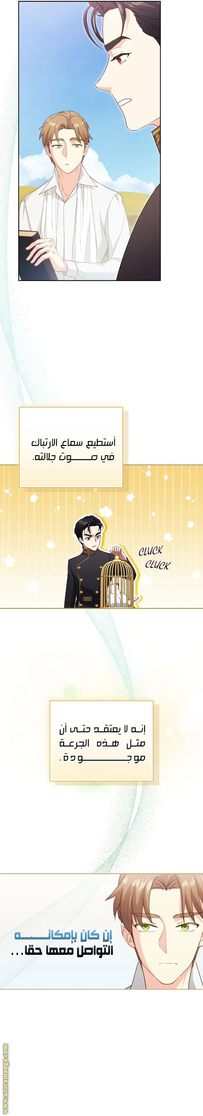 الصفحة 25
