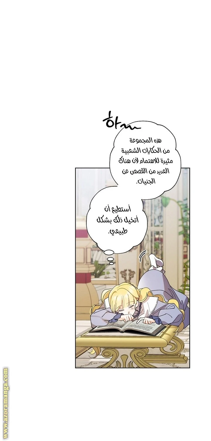الصفحة 17