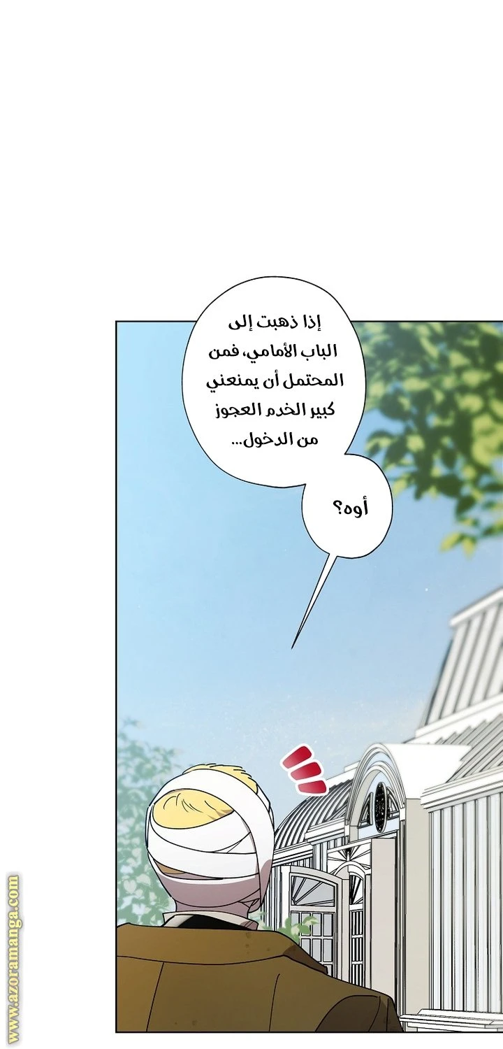 الصفحة 23