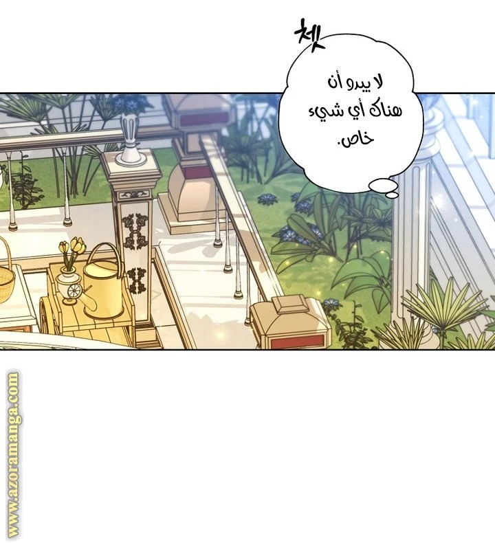الصفحة 26