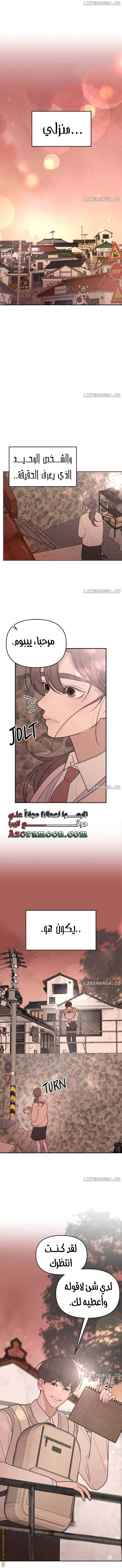 الصفحة 11
