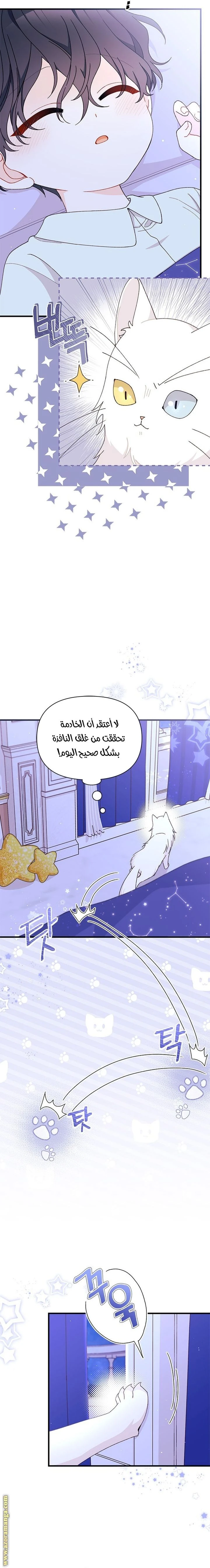 الصفحة 18