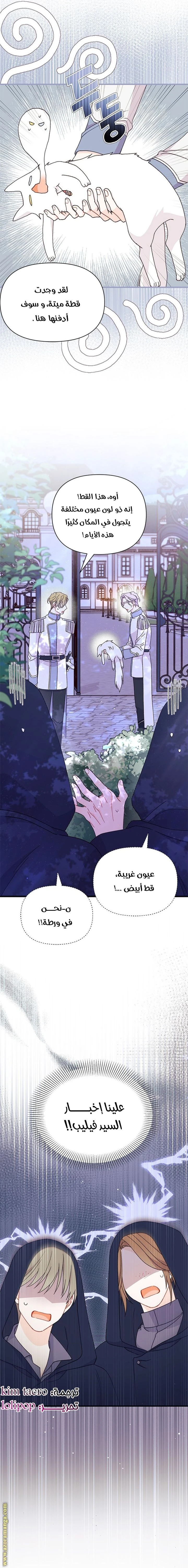 الصفحة 24