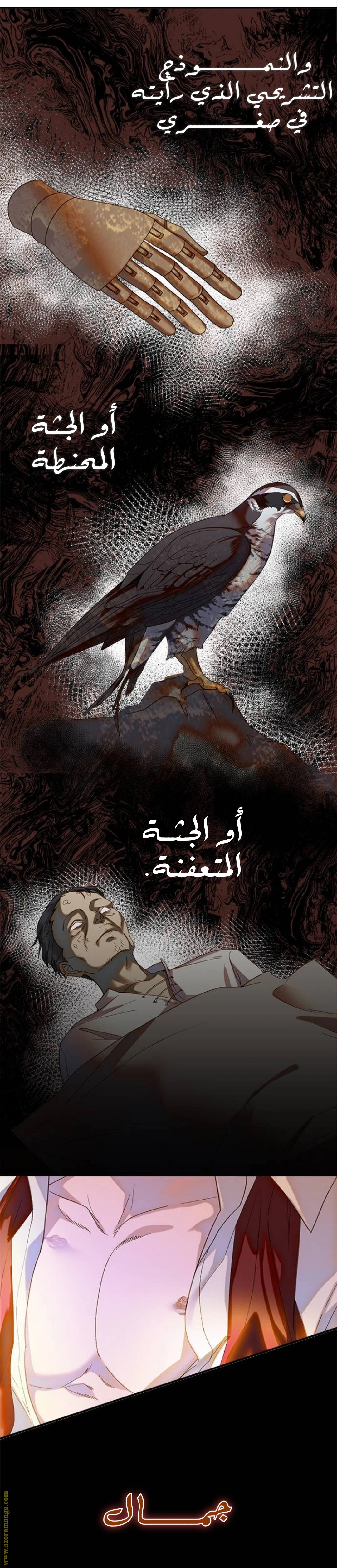 الصفحة 6