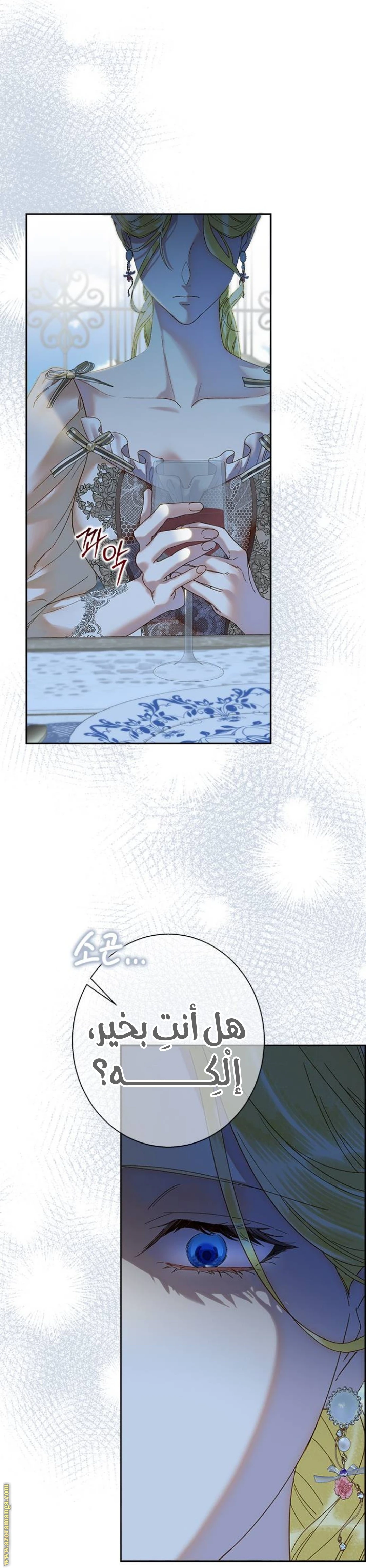 الصفحة 27