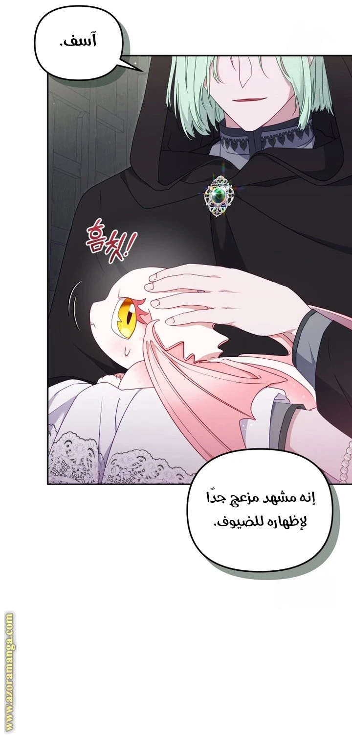 الصفحة 29