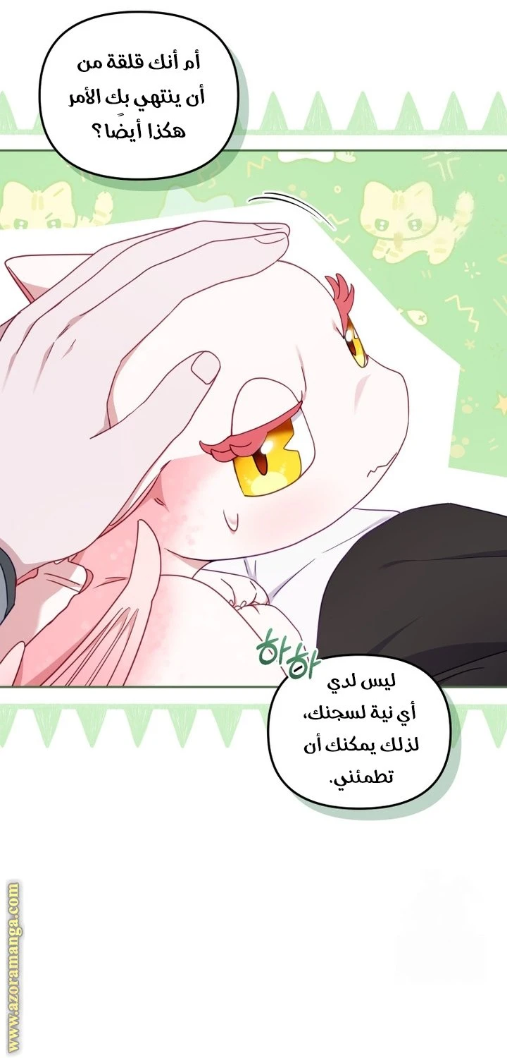 الصفحة 31