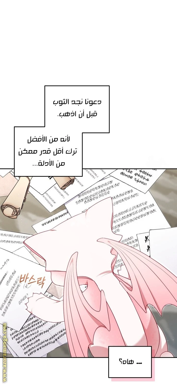 الصفحة 41