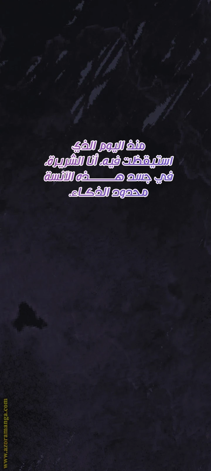 الصفحة 41