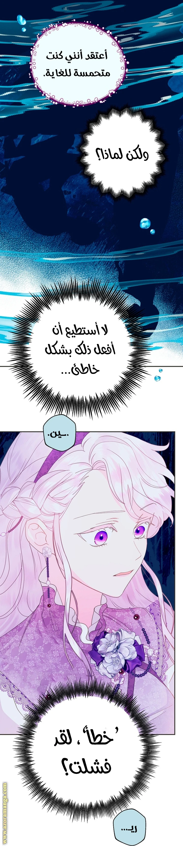 الصفحة 29