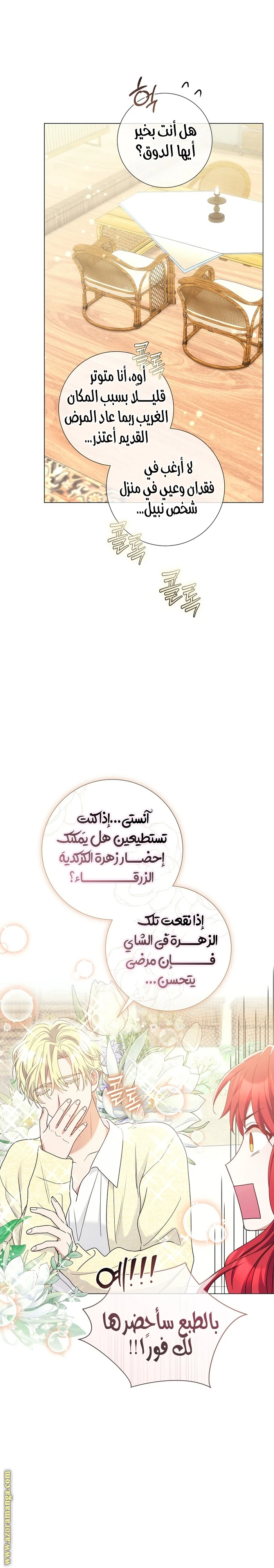 الصفحة 15