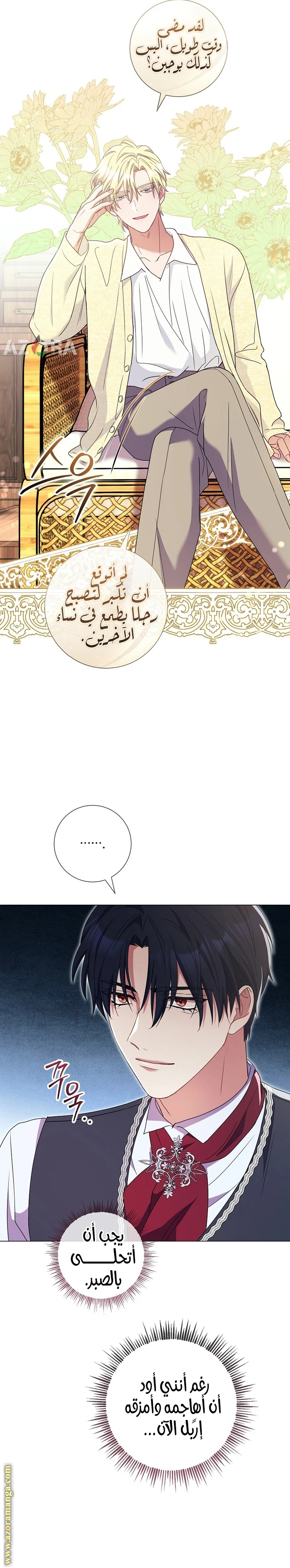 الصفحة 17