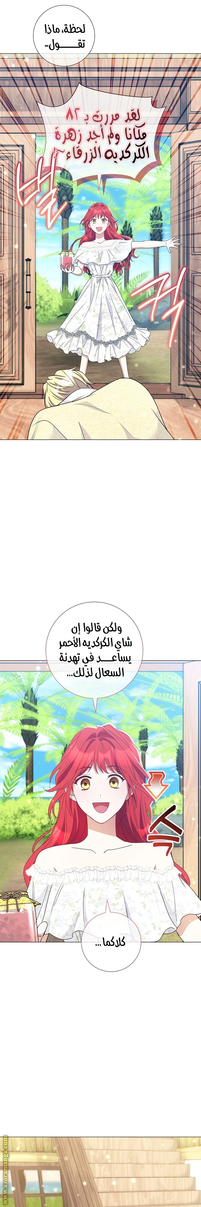 الصفحة 24