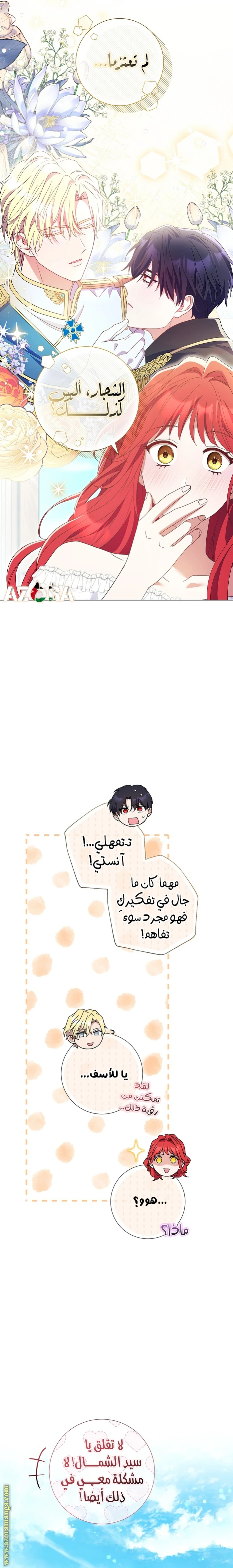 الصفحة 26