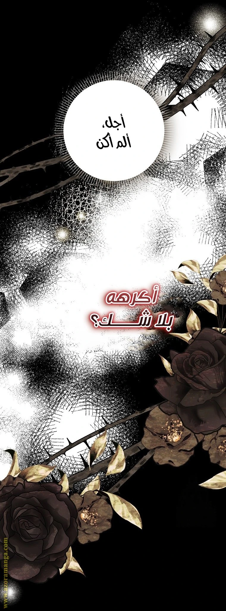 الصفحة 17