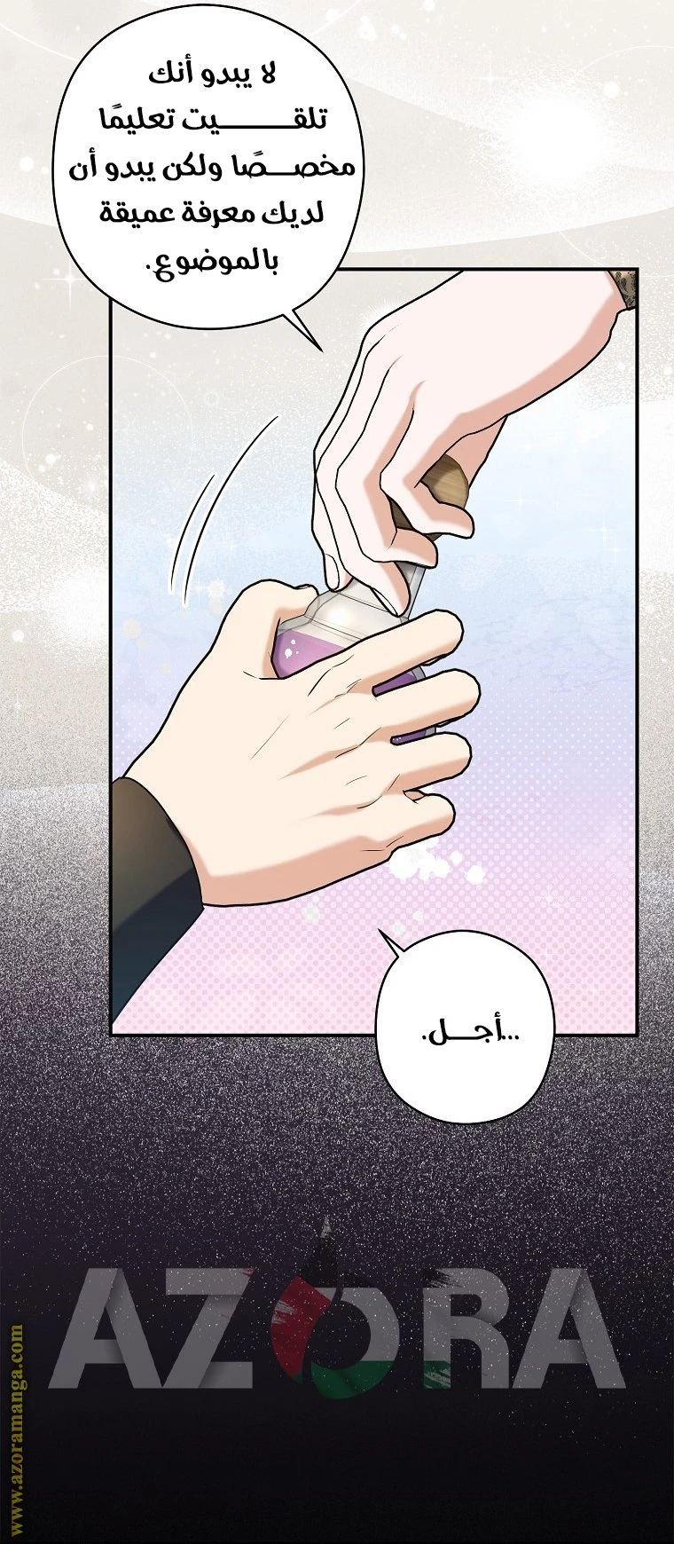 الصفحة 25