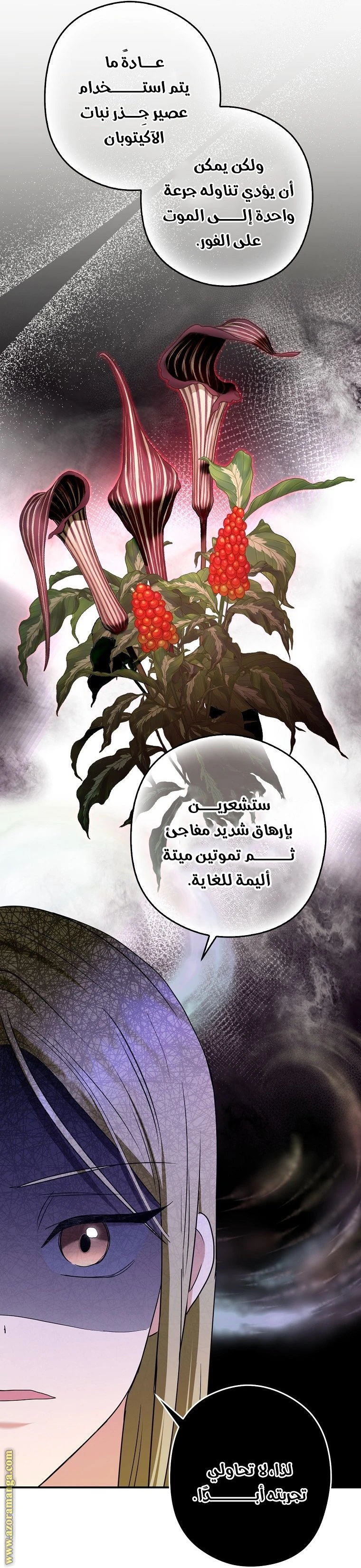 الصفحة 30