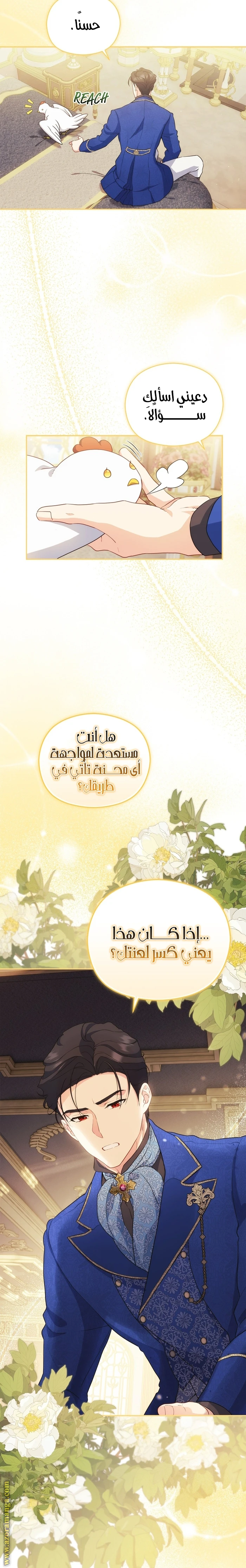 الصفحة 12