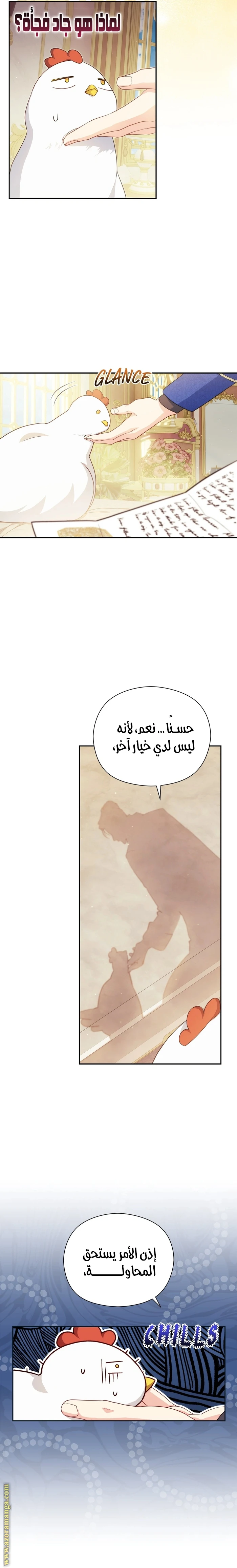 الصفحة 13