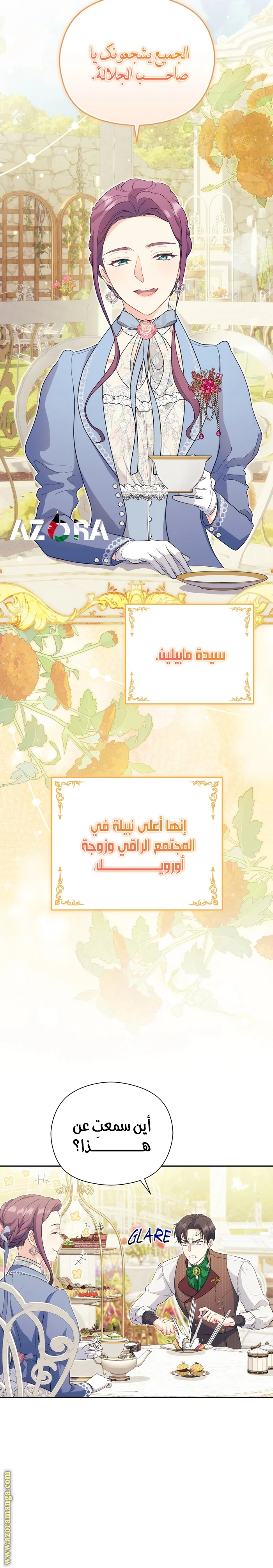 الصفحة 17