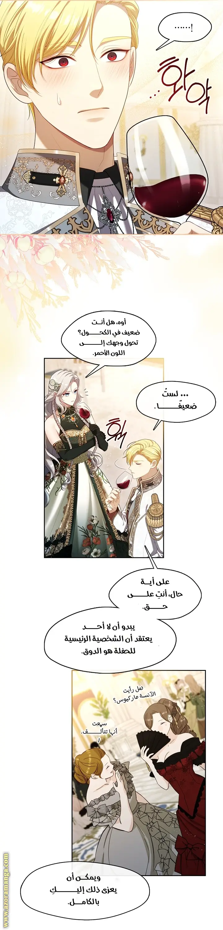 الصفحة 26