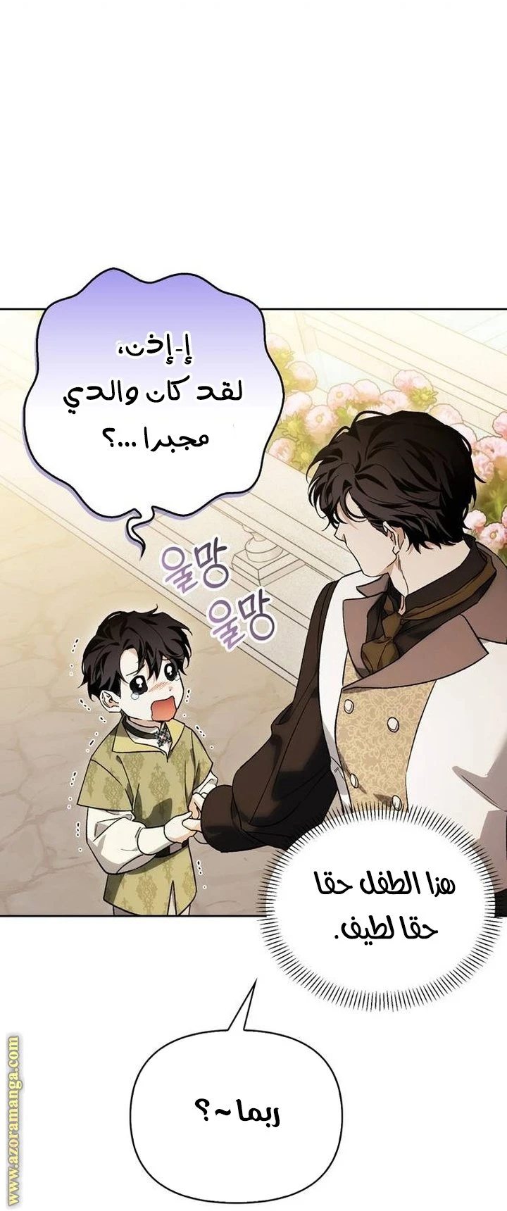 الصفحة 17