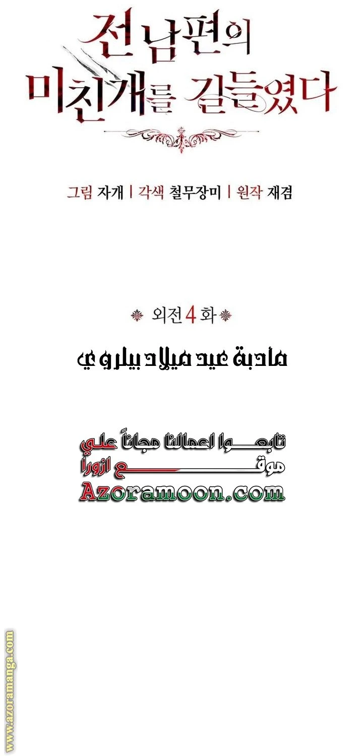 الصفحة 29