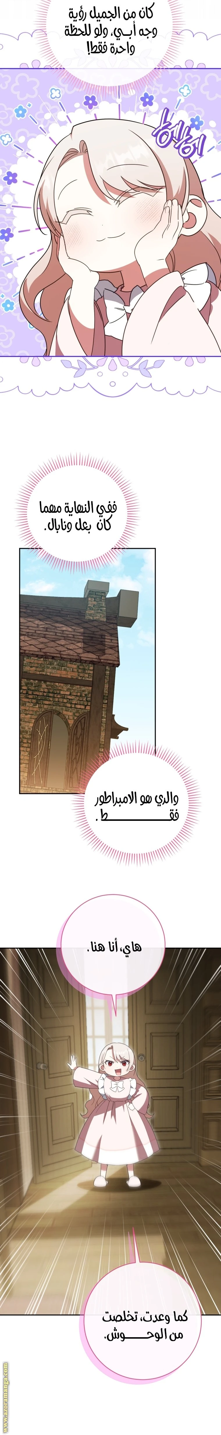 الصفحة 17