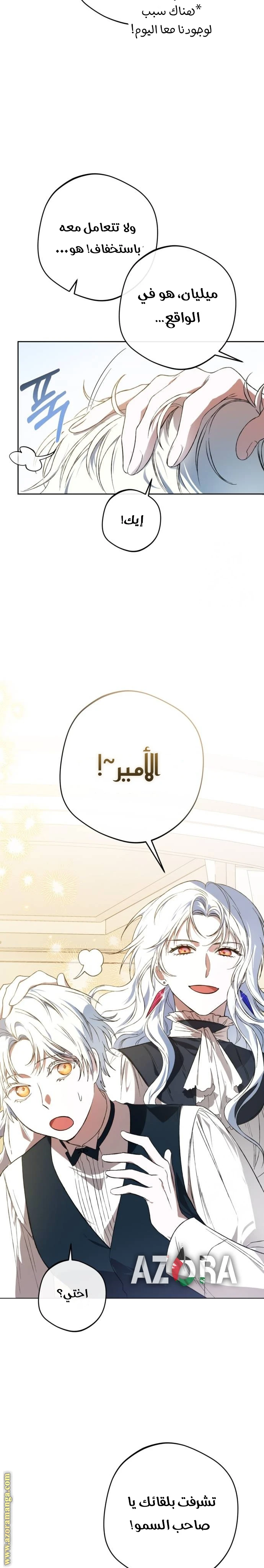 الصفحة 21