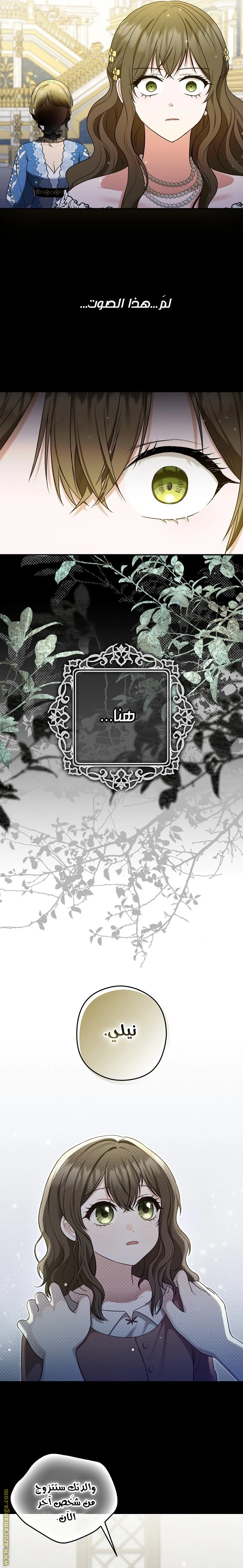 الصفحة 25