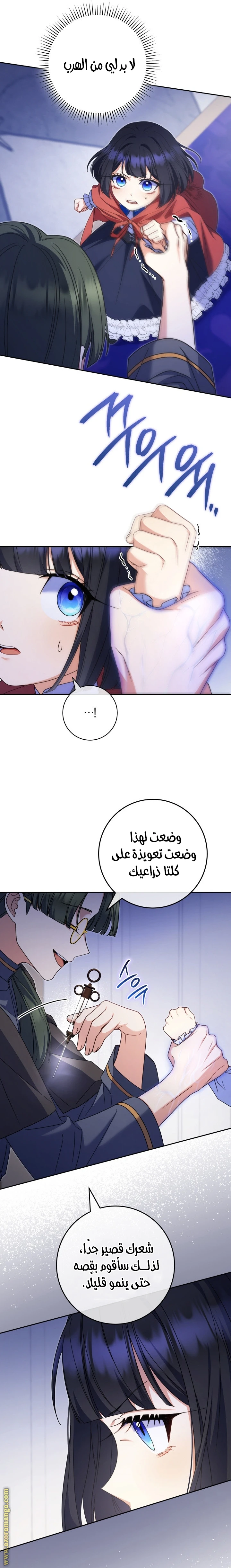 الصفحة 12