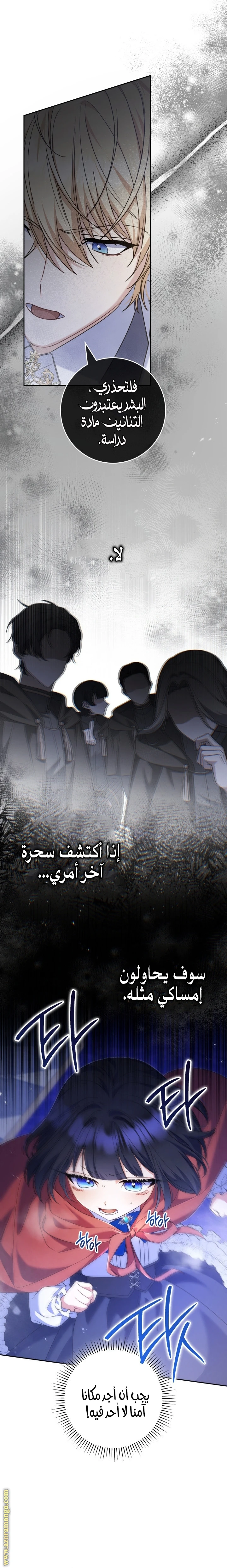 الصفحة 17