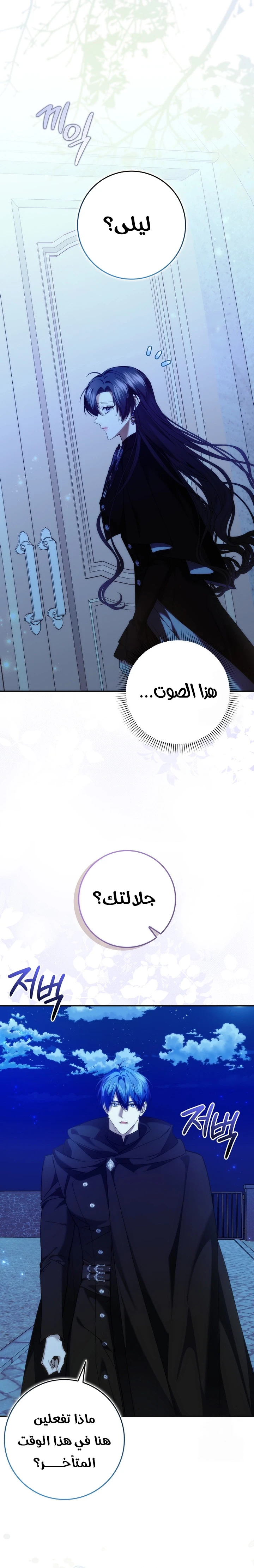 الصفحة 25
