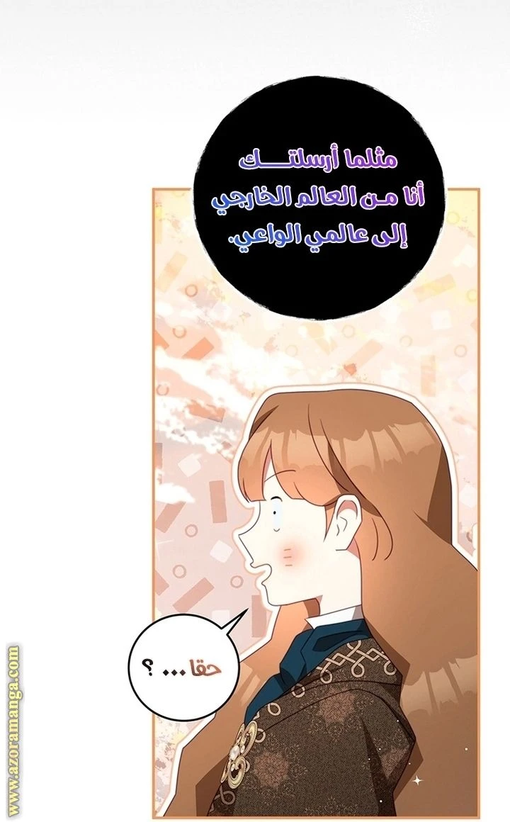 الصفحة 26