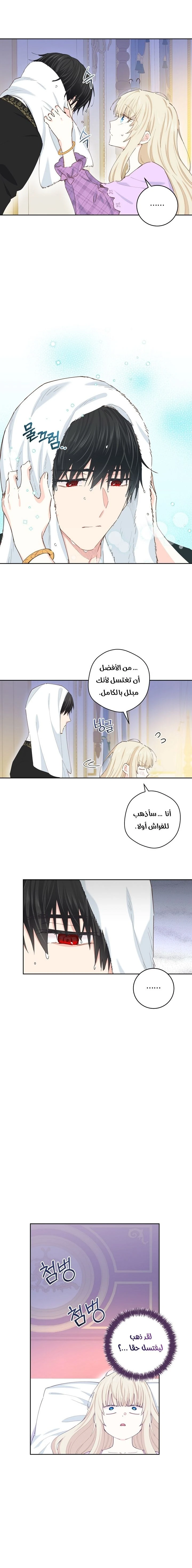 الصفحة 11