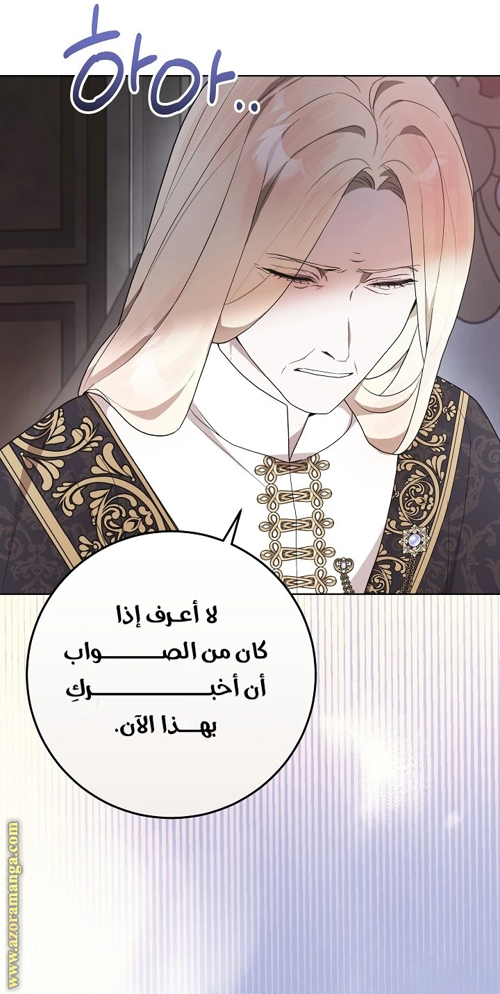 الصفحة 29