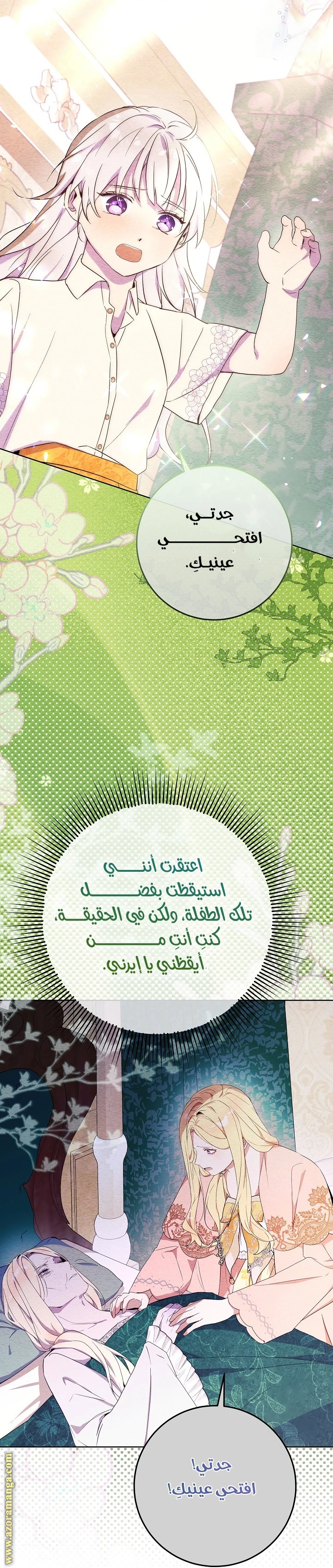 الصفحة 51