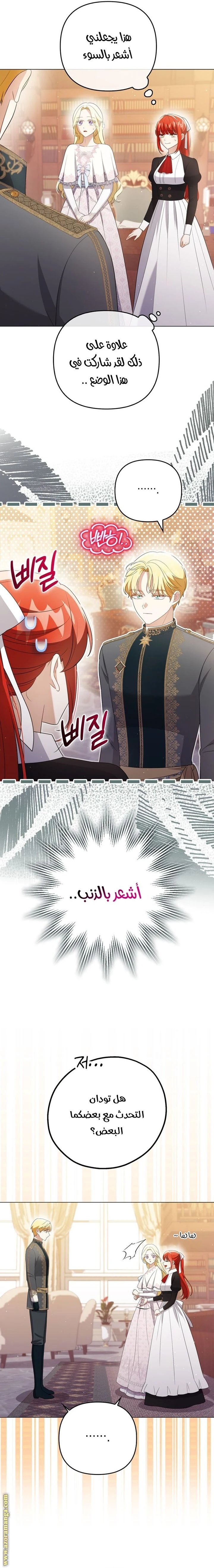 الصفحة 13