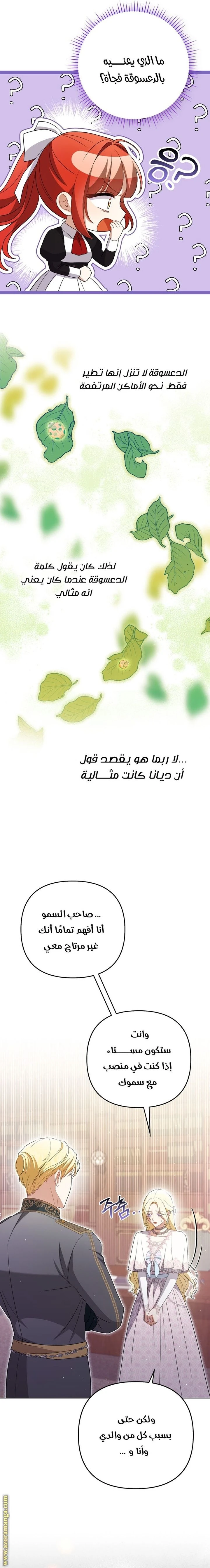 الصفحة 17