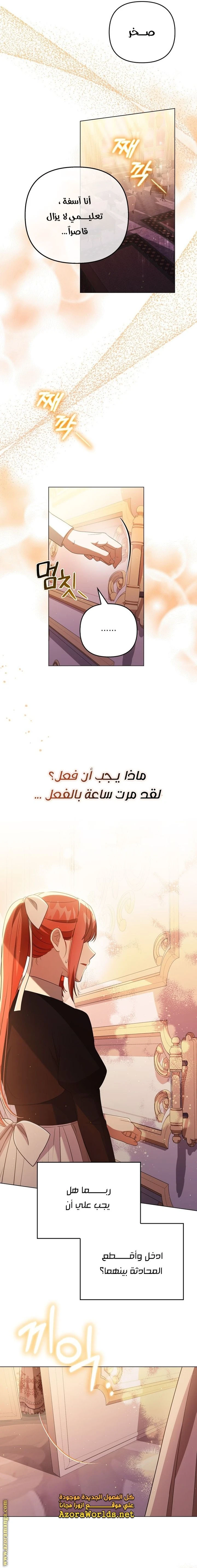 الصفحة 19