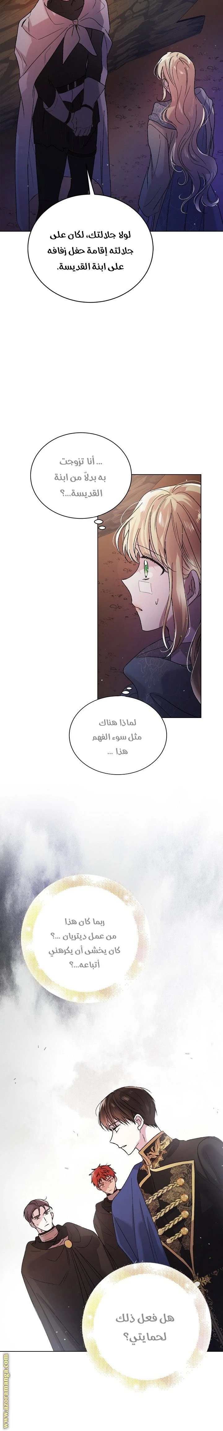 الصفحة 17