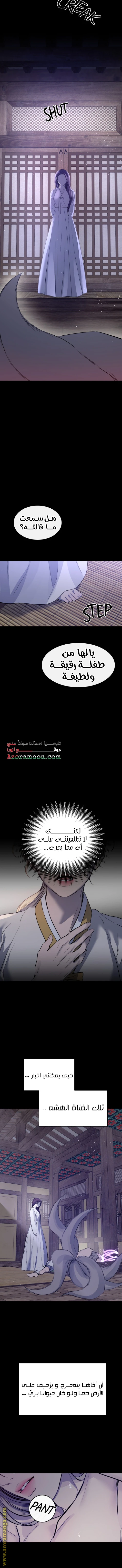 الصفحة 13