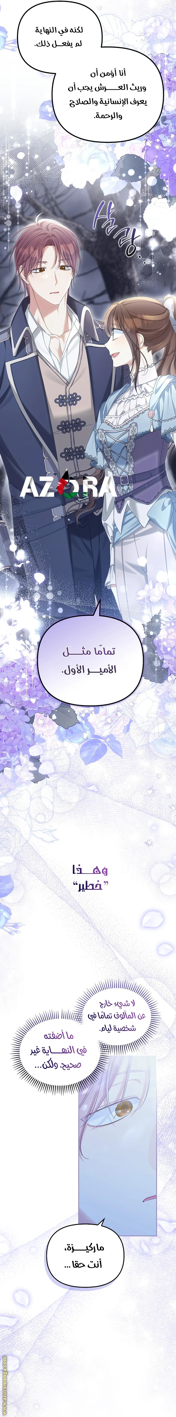الصفحة 17