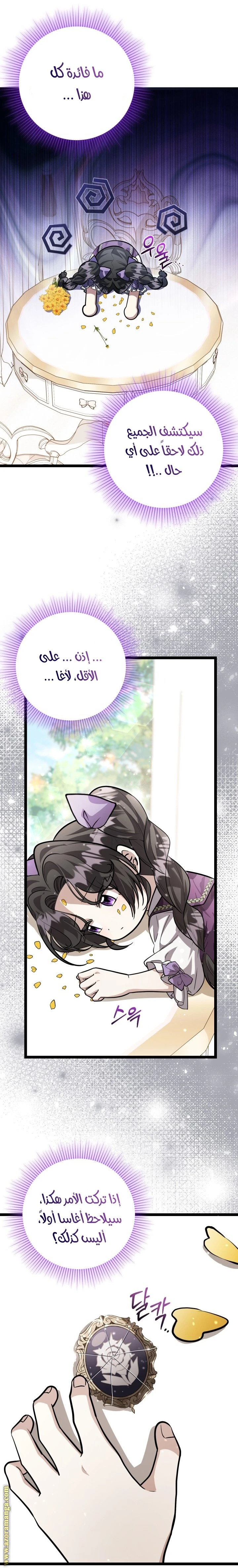 الصفحة 17