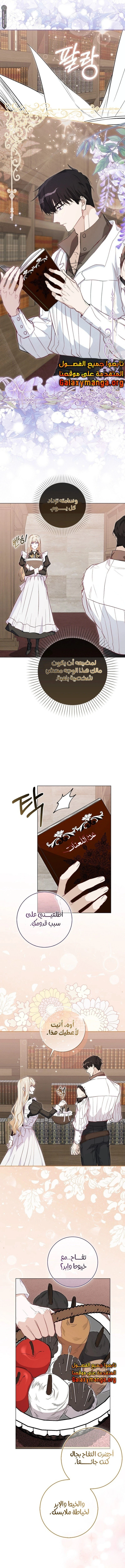 الصفحة 7