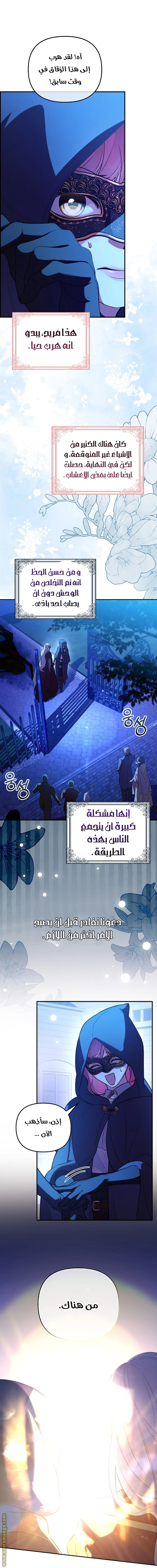 الصفحة 13