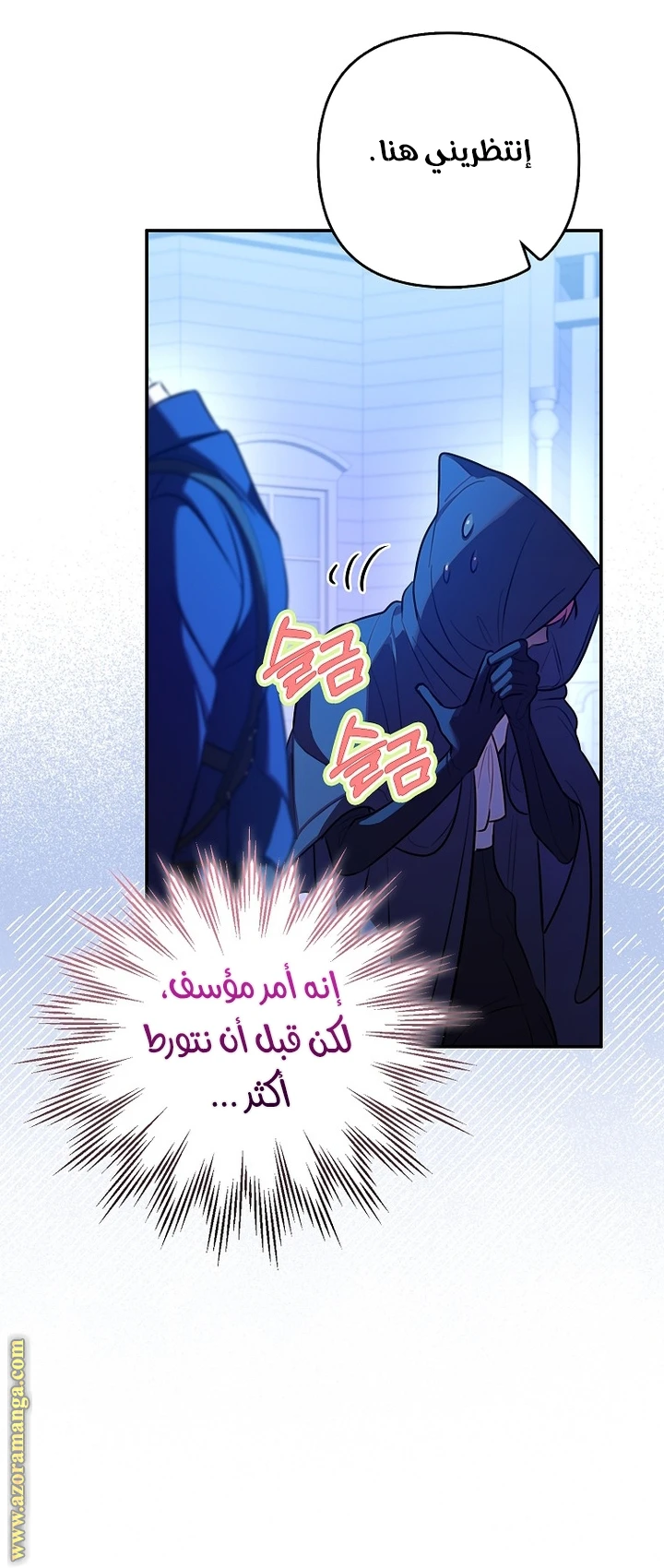 الصفحة 17