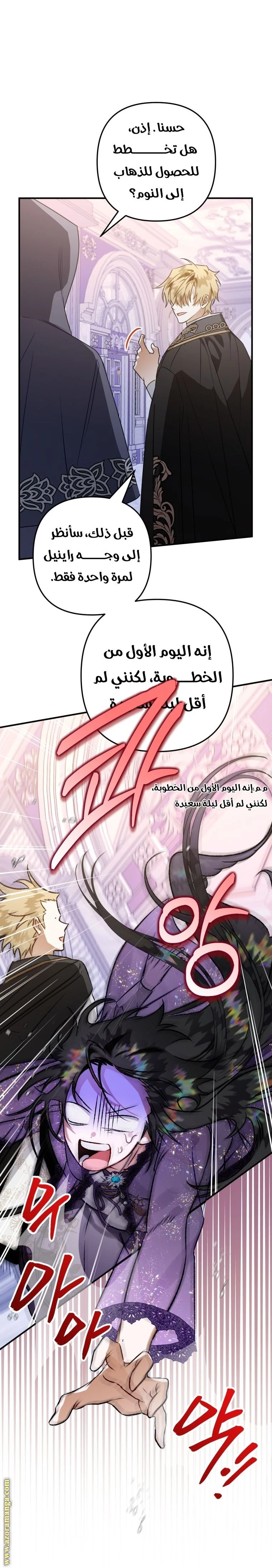 الصفحة 11