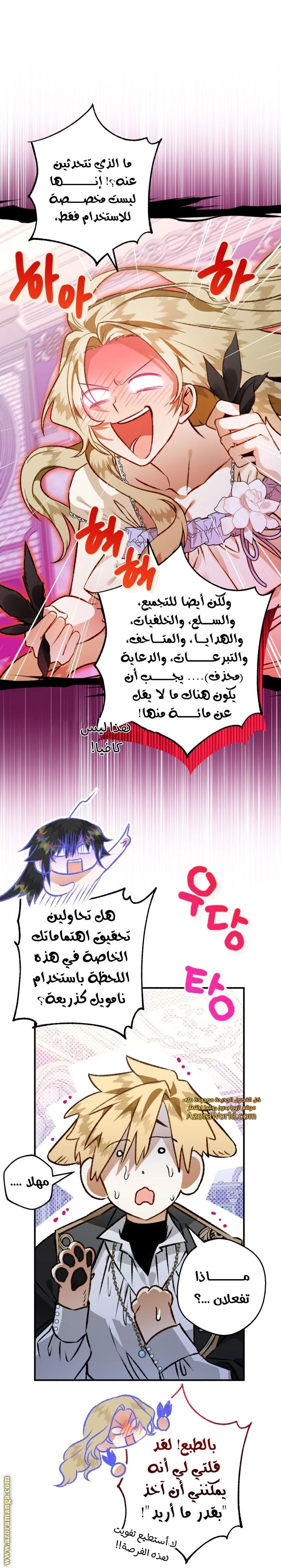 الصفحة 13