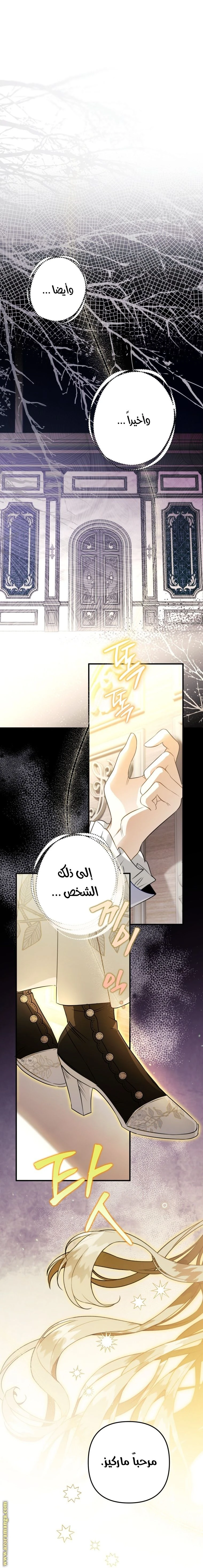 الصفحة 24